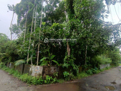 Prime Residential Land for Sale in Kodungallur, Thrissur