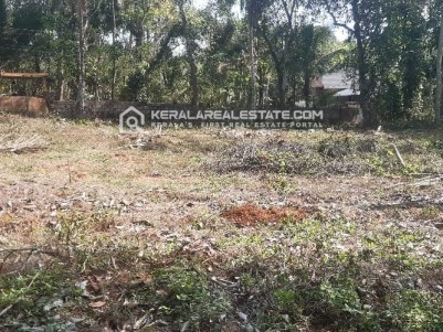 Land for Sale in Thuvayur, Pathanamthitta