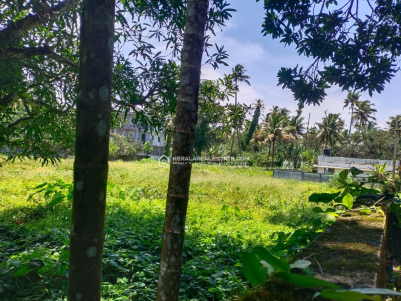 Land for Sale Near Kodungallur Town, Thrissur 