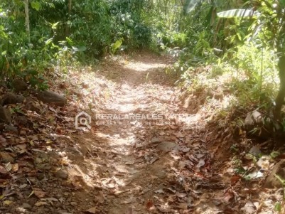 Land for Sale in Erumapramattom, Kottayam 