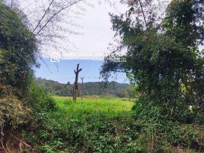Riverfront with Paddy View Land for Sale in Valavayal, Wayanad