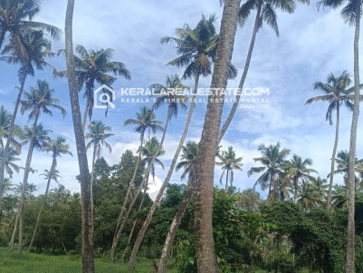 Prime Land for Sale in Moonnupeedika, Thrissur 