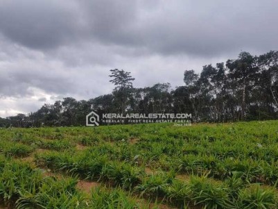 Resort Land for Sale in Poothadi, Wayanad