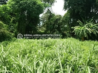 Land for Sale in Puthur, Palakkad