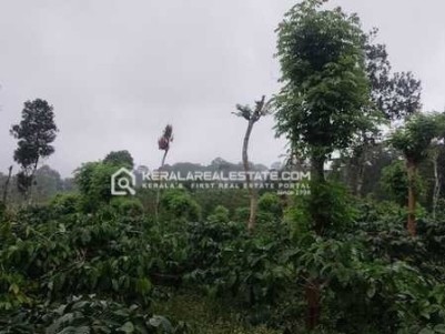Land for Sale in Vadakkanad, Wayanad