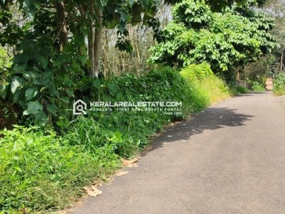 Land for Sale in Kakkanad, Ernakulam 