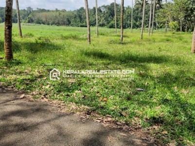Land for Sale in Kolencherry, Ernakulam 