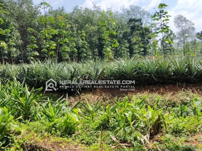Prime Land for Sale in Kolencherry, Ernakulam 