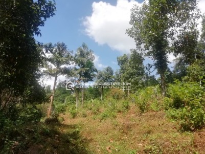 Land for Sale in  Irumapramattam, Moonnilavu, Kottayam