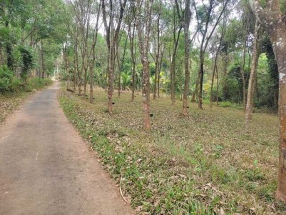 Land for Sale in Meenangadi, Wayanad