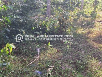 Prime Land for Sale in Chenkottukonam Junction, Trivandrum 