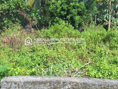 Land for Sale in Pullanivila, Trivandrum 