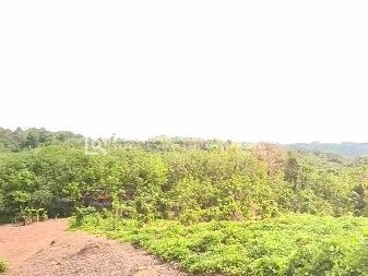 Residential Cum Commercial Land for Sale in Nallila, Kollam 