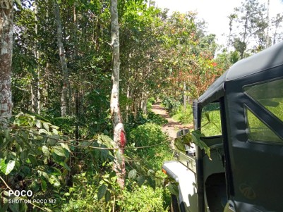 Waterfront Land for Sale in Ambalavayal, Wayanad 
