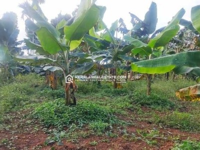 Plot for Sale in Karani, Wayanad 
