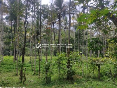 Riverside Land for Sale in Nadavayal, Wayanad 