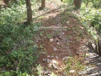 Prime Residential Lands for Sale in Inchakkadu Junction, Kottarakkara, Kollam 