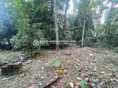 Prime Land for Sale in Kaninadu, Puthencruz, Ernakulam 