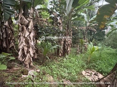 Residential Plots for Sale in Amballoor, Ernakulam 
