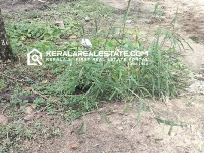 Plot for Sale in Chambakara, Ernakulam 