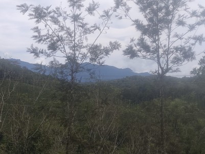 Land for Sale in Kappattumala, Perya, Wayanad