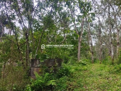 Land with Paddy View for Sale in Valluvady, Wayanad 