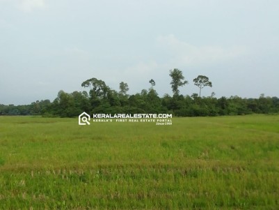 Land for Sale in Piravom, Ernakulam 