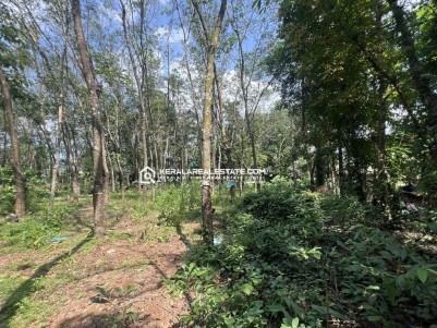 Land with House for Sale in Anappara, Angamaly, Ernakulam 