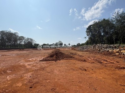 Residential Plots for Sale in Adichira, Kottayam