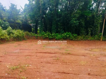 Land for Sale in Vappalassery, Angamaly, Ernakulam 