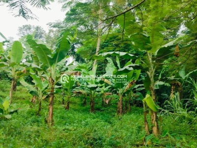 Waterfront Land for Sale in Thiruvairanikulam, Ernakulam 