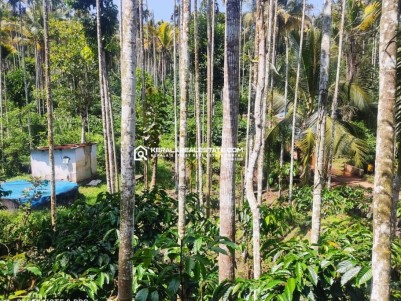 House for Sale in Irulam, Wayanad 