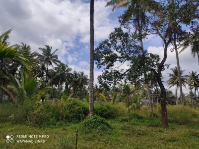 Land for Sale in Koodalkadavu, Wayanad 