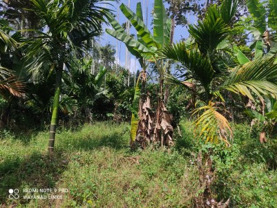 House in 24 Cents for Sale in Kolery, Wayanad 