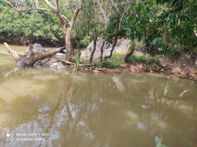 Riverfront Land for Sale in Pakkam, Wayanad