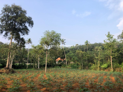 Prime Commercial/ Residential Land for Sale in Uazhavoor, Kottayam 