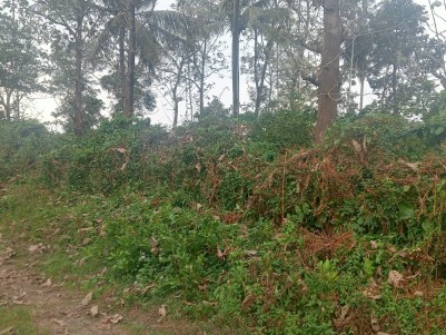Land for Sale in Chundel, Wayanad