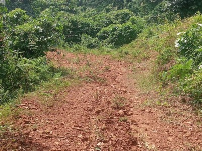 Land for Sale in Lakkidi, Vythiri, Wayanad