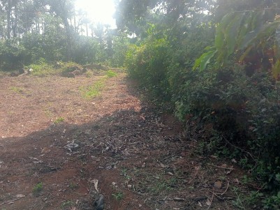 Land for Sale in Vengapally, Kalpetta, Wayanad