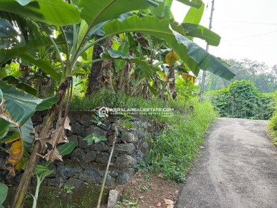 Prime Land for Sale in Kollad, Kottayam 