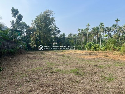 Land for Sale in Karukutty, Angamaly, Ernakulam 