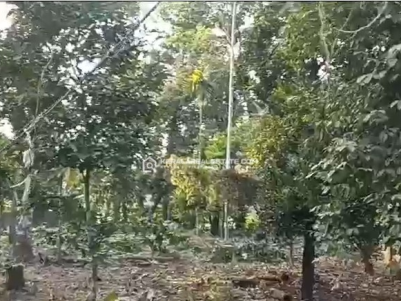  Plot for Rent/ Lease in Velloor, Kottayam 