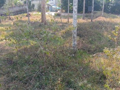 Prime Land for Sale in Meenangadi, Wayanad