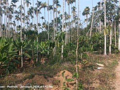 Scenic Plantation for Sale in Poothadi, Wayanad 