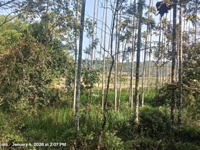 Land with Heritage House for Sale in Karani, Wayanad 