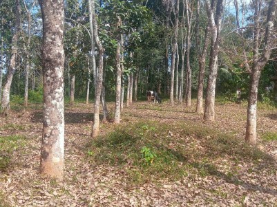 Land for Sale in Meenangadi, Wayanad 