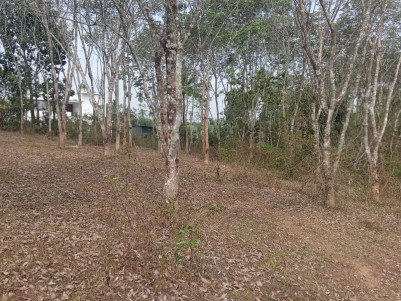Prime Residential Plot for Sale in Meenangadi, Wayanad 