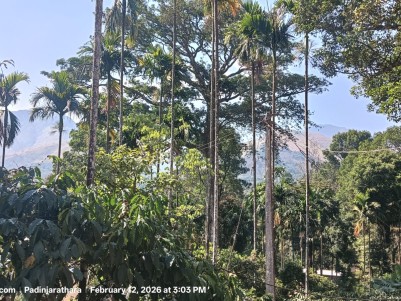 Luxury Reservoir Frontage Property for Sale in Banasura, Wayanad