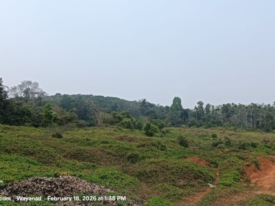  Riverfront Property for Sale in Padinjarathara, Wayanad 