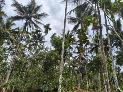 1 Acre Land for Sale in Kenichira, Wayanad